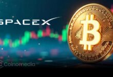 Blockchain transfer showing SpaceX Bitcoin transaction history