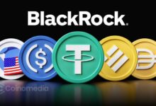 BlackRock supports crypto stablecoins to strengthen US dollar
