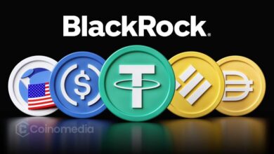 BlackRock supports crypto stablecoins to strengthen US dollar