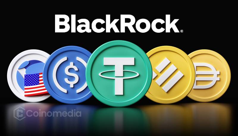 BlackRock supports crypto stablecoins to strengthen US dollar