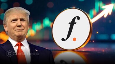 Trump investment in FalconStable by DWF Labs