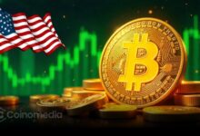 Chart showing US government Bitcoin holdings valued at $23.5 billion