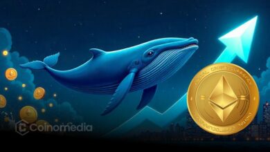 Whale Activity Heats Up as $2.38B in ETH Accumulated