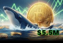 Whale Adds $5.5M to Save $132M Bitcoin Long