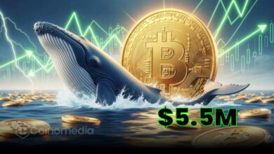 Whale Adds $5.5M to Save $132M Bitcoin Long