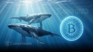 Jump Crypto whale moves 7,499 BTC after dormancy