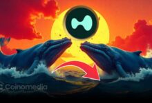 Whale purchase of HYPE tokens on HyperLiquid—crypto investment graphic