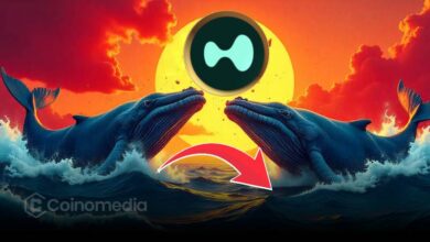 Whale purchase of HYPE tokens on HyperLiquid—crypto investment graphic