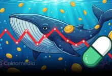 Chart showing whale wallets selling PUMP tokens for profit