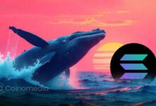 Whale accumulation of Solana (SOL) from exchanges