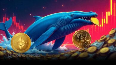 Crypto whale trades with bearish Bitcoin and Ethereum positions