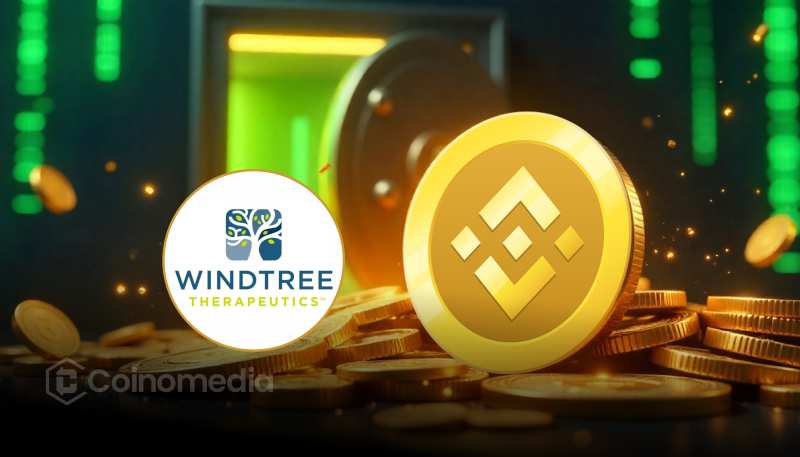 Windtree Plans $520M Raise to Buy More BNB