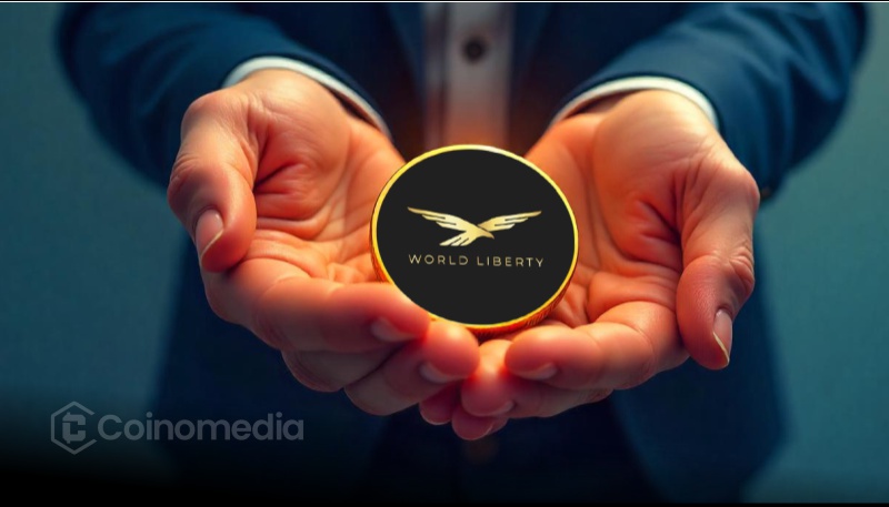 WLFI token unlock strategy with no team unlock at launch