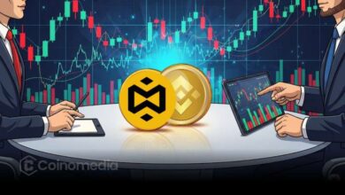 BNB Treasury Company launch backed by YZi Labs and led by David Namdar