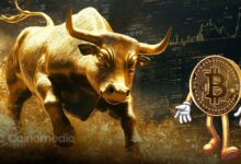 Chart showing Bitcoin bulls dominating futures market with rising net longs. 2/2
