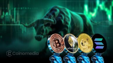 Crypto Wave 5 bull run chart with rising Bitcoin price