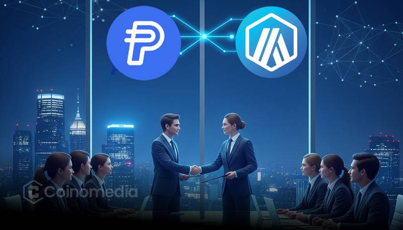 PYUSD stablecoin on Arbitrum network for faster crypto payments