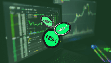 Altcoin Market Pull Backs As BTC Dominance Hits Support: Nexchain Leads Presale Cryptos in Stage 23