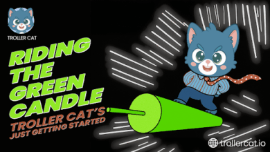 Best Meme Coin to Buy Today, Stage 13 presale now live, TCAT and Dogwifhat comparison, Shiba Inu price update, Meme coin ROI insights, TCAT referral bonus breakdown, TCAT Game Center preview, Deflationary meme token picks, Dogwifhat resistance levels, SHIB market recap.
