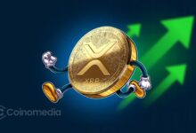 XRP price chart showing 40% rally after buy signal