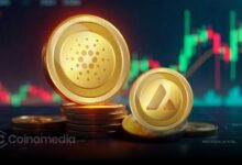 ADA and AVAX price surge leads crypto market gains