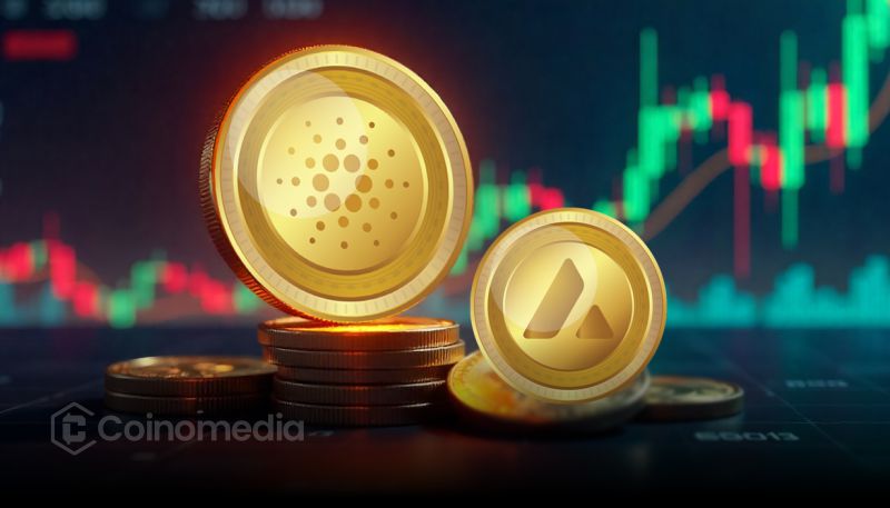 ADA and AVAX price surge leads crypto market gains