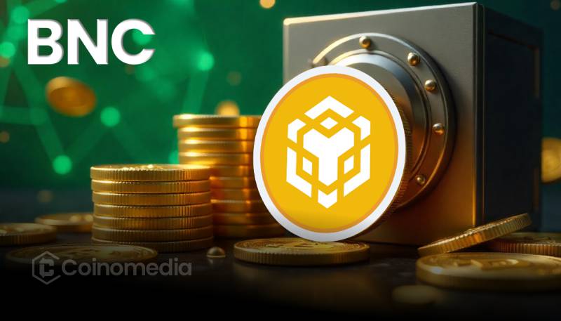 BNC holds largest BNB treasury with 325K tokens