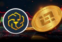 BNB and LEO Stand Strong Amid Market Turbulence