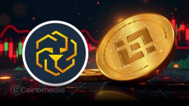 BNB and LEO Stand Strong Amid Market Turbulence