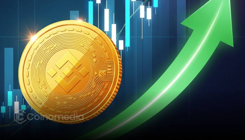 Chart showing 49.6% rise in BNB Chain stablecoin market cap in Q2 2025