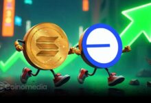 Graph showing Base daily token launches surpassing Solana
