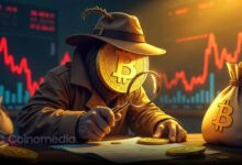 Bitcoin price chart showing support levels at $116,950 and $107,000