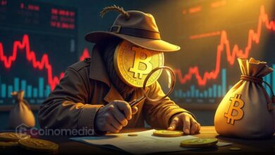 Bitcoin price chart showing support levels at $116,950 and $107,000
