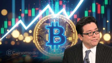 Bitcoin $500K prediction by Tom Lee chart illustration