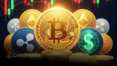 Retail investors drive Big Tech and Bitcoin gains in 2025