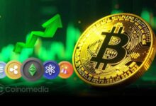 Chart showing recent Bitcoin dominance drop signaling altseason