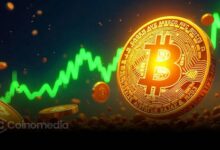 Bitcoin Power Law chart suggesting potential price peak at $450K