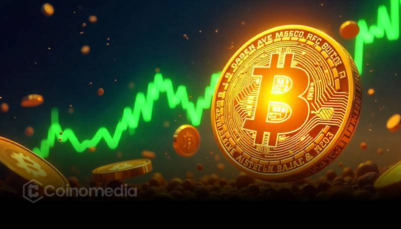 Bitcoin Power Law chart suggesting potential price peak at $450K