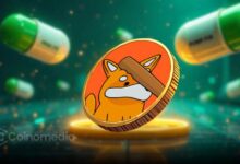 Bonkfun Solana launchpad revenue growth chart