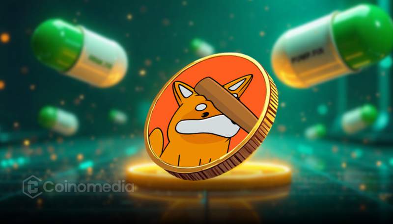 Bonkfun Solana launchpad revenue growth chart