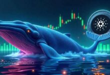 Cardano whale accumulation of 150 million ADA tokens