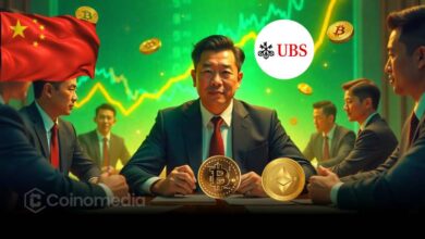 Chinese family office investment in crypto portfolios