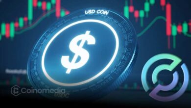 Chart showing $1.25B USDC mint on Solana blockchain by Circle