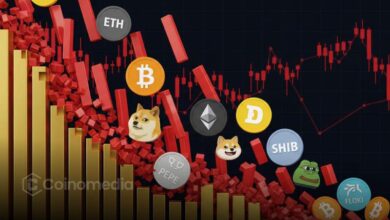 Crypto market cap drops below $3.9 trillion with memecoins falling sharply