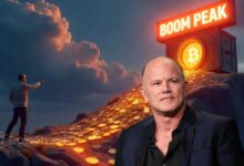 Mike Novogratz says crypto treasury boom has peaked