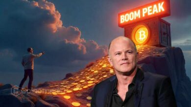 Mike Novogratz says crypto treasury boom has peaked