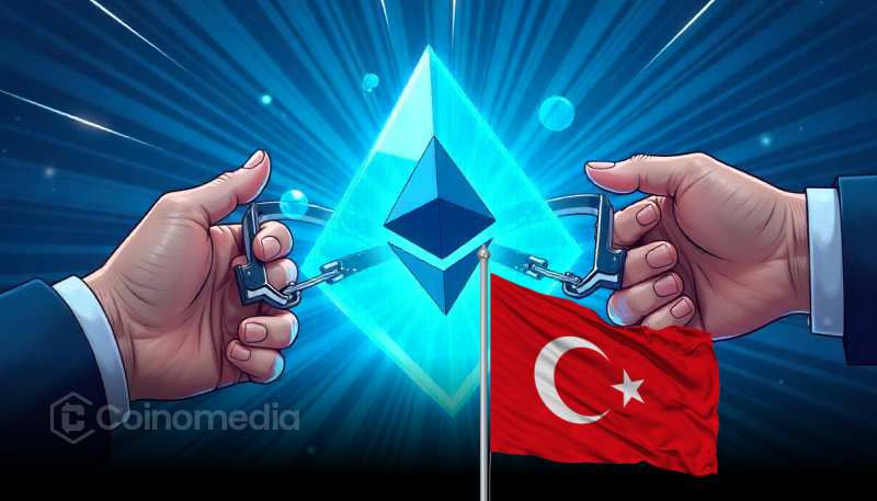 Ethereum dev intern detention news update