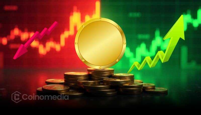 crypto market dip before bull run September