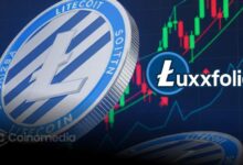 Luxxfolio Aims to Raise $73M to Expand LTC Treasury