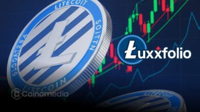 Luxxfolio Aims to Raise $73M to Expand LTC Treasury